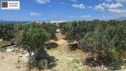 Pitsidia Kreta, Pitsidia Grundstück von 1566 m² zu verkaufen in Pitsidia Grundstück kaufen